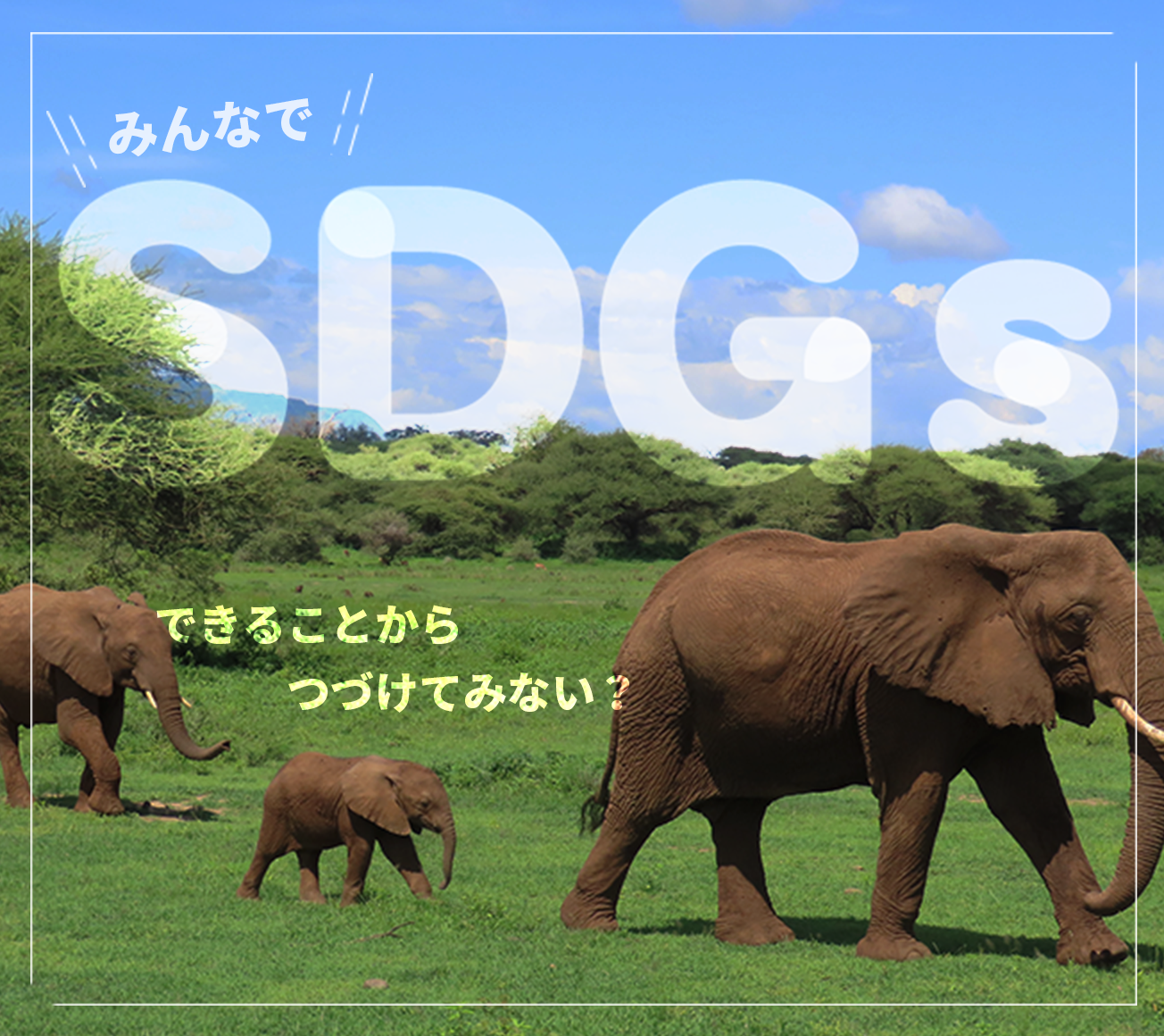 バナー