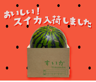 バナー